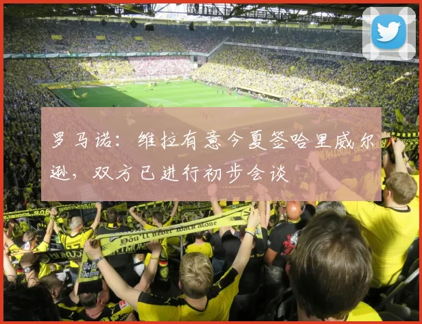 罗马诺：维拉有意今夏签哈里威尔逊，双方已进行初步会谈