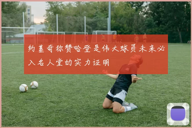 约基奇称赞哈登是伟大球员未来必入名人堂的实力证明